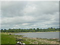 N0055 : Lough Rea: looking north across the bay from the Rindoon peninsula by Christopher Hilton