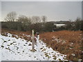 Public footpath leading away from Wenvoe Golf Course