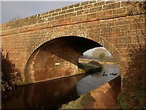 SS9913 : Tiverton Road Bridge, Grand Western Canal by Derek Harper
