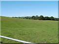 Farmland, Coed-y-fon, Monmouthshire