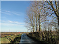 Country road near The Hemplands, S. E. St James