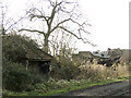 TM3182 : Small tumbledown cartshed just off Mill Lane by Adrian S Pye