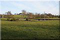 Grazing land at Martingirth