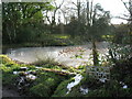 Frozen pond at Rhode Farm, Green Lane