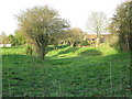 Field to the north of Green Lane