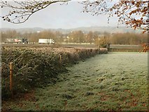 SS9813 : Field boundary, Putson Cross by Derek Harper