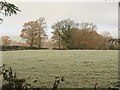 Frosty field near Widhayes Farm