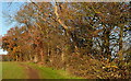 Footpath to Flackwell Heath