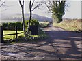 Looking west along the lane from New Barn Cottage