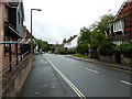 Lamppost in Denne Road