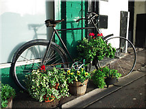J5081 : Old bicycle, Bangor by Rossographer
