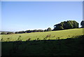 TQ7924 : Countryside near Ewhurst Green by N Chadwick