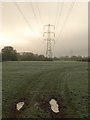 ST0311 : Track across meadow, Willand by Derek Harper