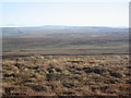 NY7353 : Panorama from Pikerigg Currick (7: SE) by Mike Quinn