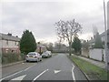 Palin Avenue - viewed from Dalby Avenue