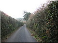 Chisland Lane, Luccombe