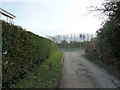 Approaching the junction of Cemetery Lane and South Lane