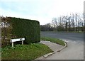 Junction of Cemetery Lane and South Lane