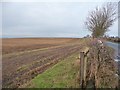 Stubble field alongside Dolly Lane