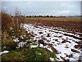 Snow  in the shadow of the hedge