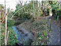 Footpath by the brook