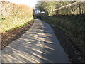 Witches Lane near Witches Cottage