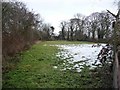 A partial thaw at Great Langton