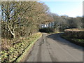 Bend in North Hall Lane