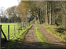 TQ4225 : Track to Moyse's Farm by Dave Spicer