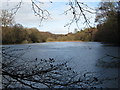 Mill pond at Sheffield Mill Farm