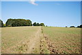 Sussex Border Path to Northiam