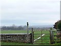 Bridleway to Tancred Grange