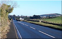 J3235 : The A25 Dublin Road between the Burrenreagh Road and Burrenbridge Road junctions by Eric Jones