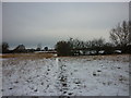 A footpath leading to Holme-on-Spalding-Moor