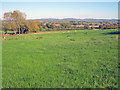 Farmland east of Rushall