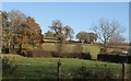 Hedge, trees and field, Bradleyford Corner