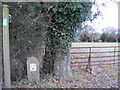 Footpath to Low Grange Farm