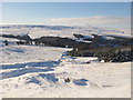 Head of a disused mine shaft above Allenheads in the snow