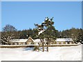 The Old School in the snow