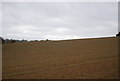 Large fallow field by Jenners Lane