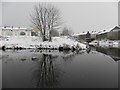 Icy reflection, Omagh