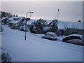 Snowed-in, at  Wildwood