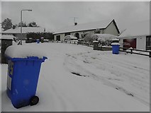 H4672 : Blue bin day, Omagh by Kenneth  Allen