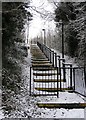 Snowy Steps