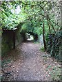 A footpath to Westbury Village