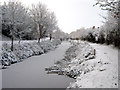 Bridgwater and Taunton Canal in winter