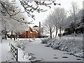 Bridgwater and Taunton Canal in winter