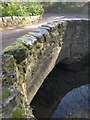 Bridge over Bidwell Brook