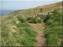 SW4135 : Coast Path above Trevean Cliff by Philip Halling