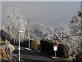 Hoarfrost, Hillside Avenue